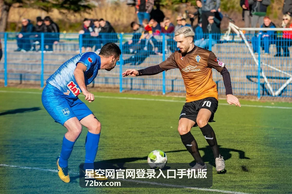 星空网手机版登录入口安全检测