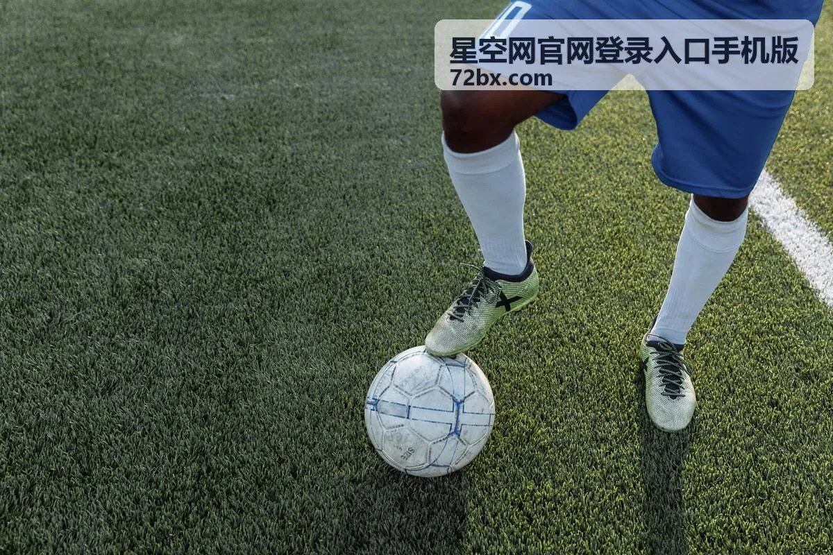 星空网网页版登录入口展示