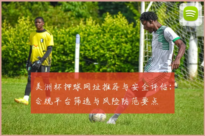 美洲杯押球网址推荐与安全评估：合规平台筛选与风险防范要点
