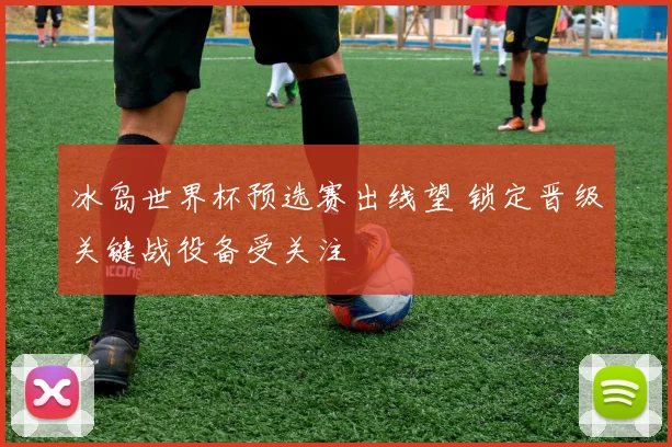 冰岛世界杯预选赛出线望 锁定晋级关键战役备受关注