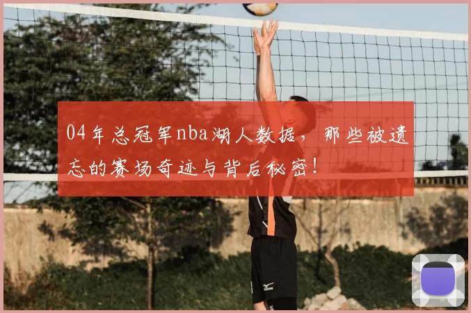 04年总冠军nba湖人数据，那些被遗忘的赛场奇迹与背后秘密！