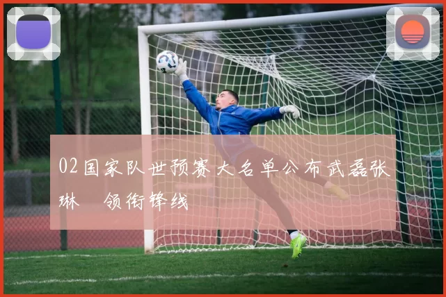 02国家队世预赛大名单公布武磊张琳芃领衔锋线