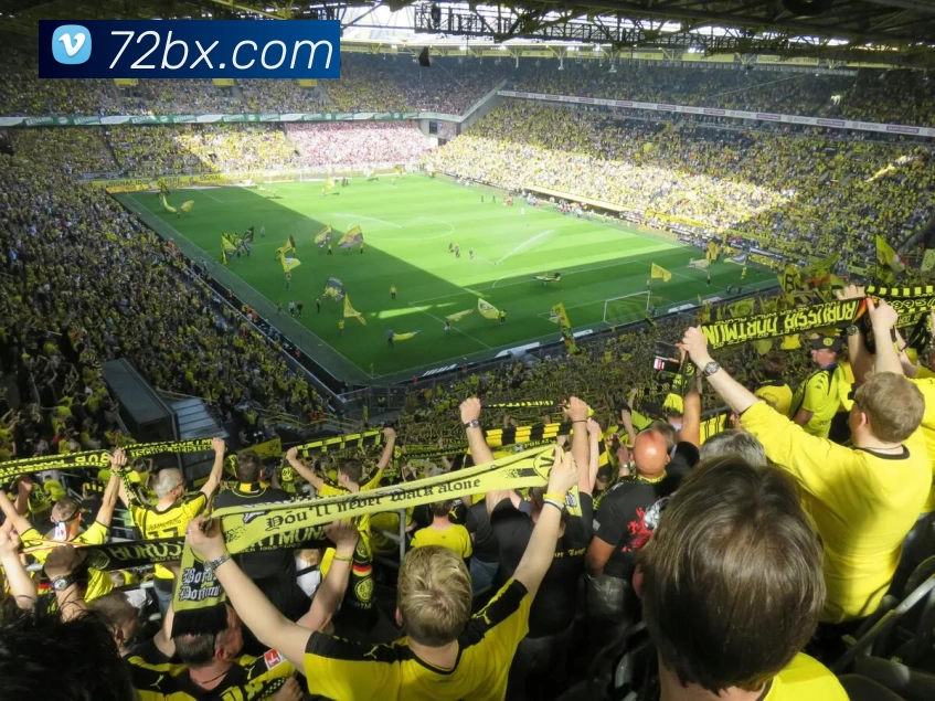 多媒体互动体验